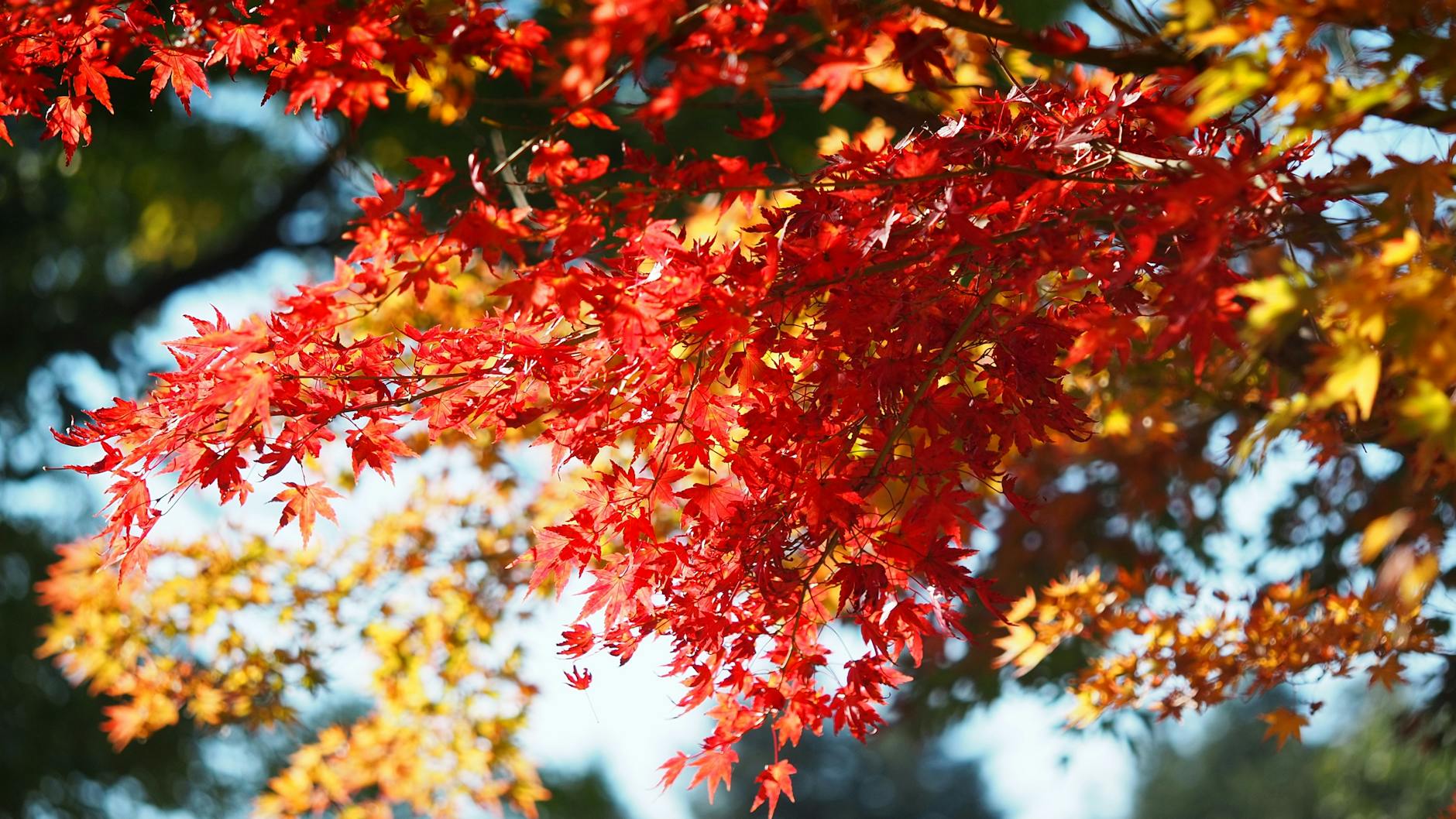 Homeschooling Through Different Seasons of Life
